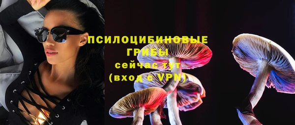 гидра Касимов