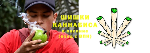 гидра Касимов