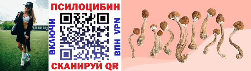 Купить  Опочка  Псилоцибиновые грибы Cubensis 